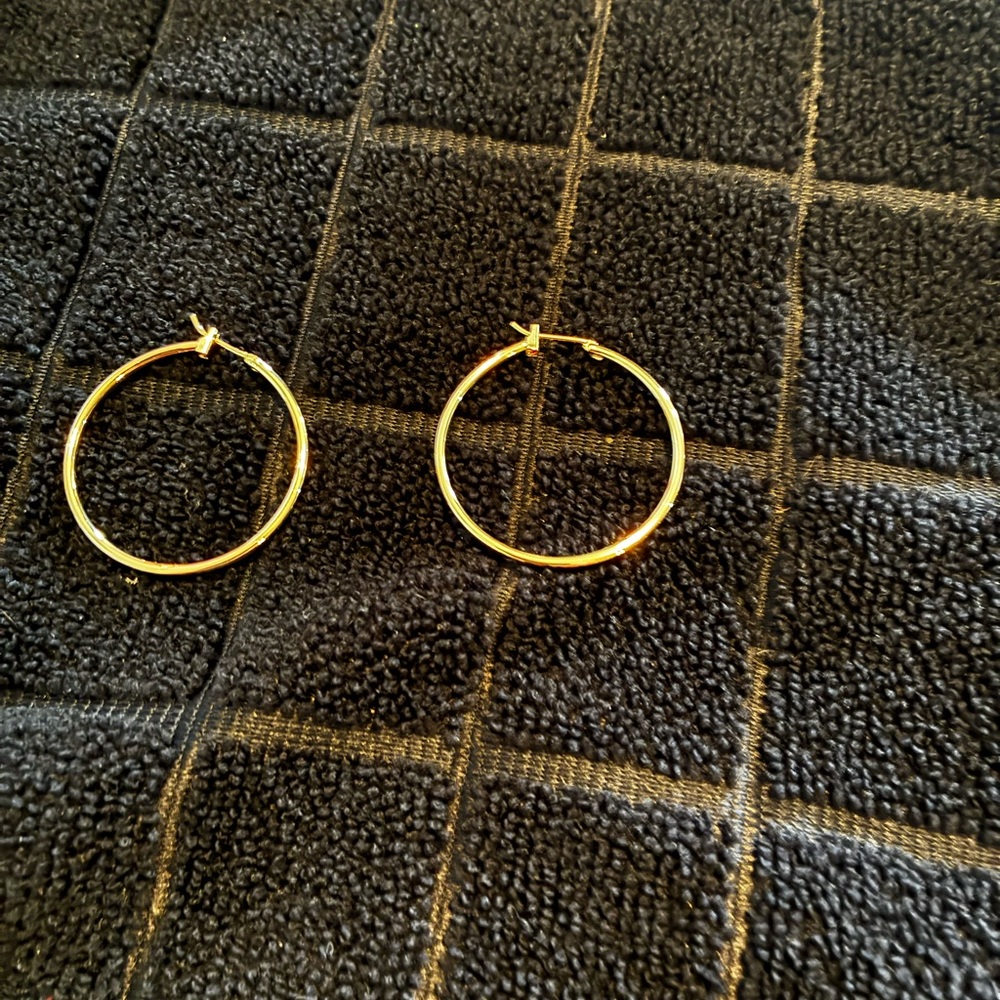 Gold plated Stainless steel Hoop earrings NWT